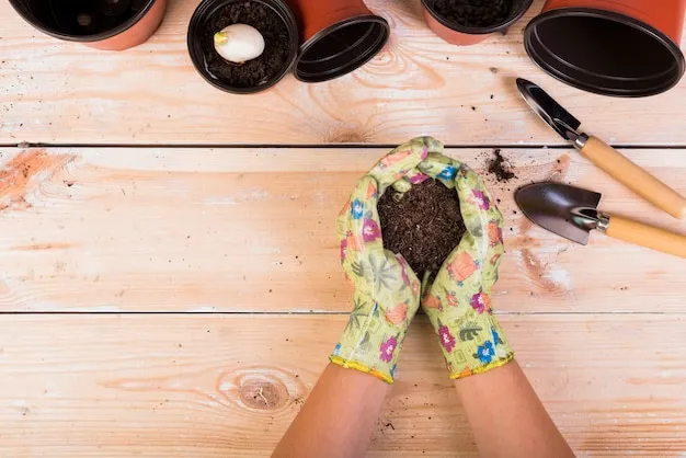 diy maceta con cáscara de huevo: cómo crear un pequeño jardín ecológico